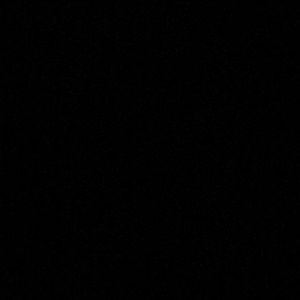 Meet your Posher, Parris